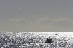 Transat 2010 - Schwimmzeug